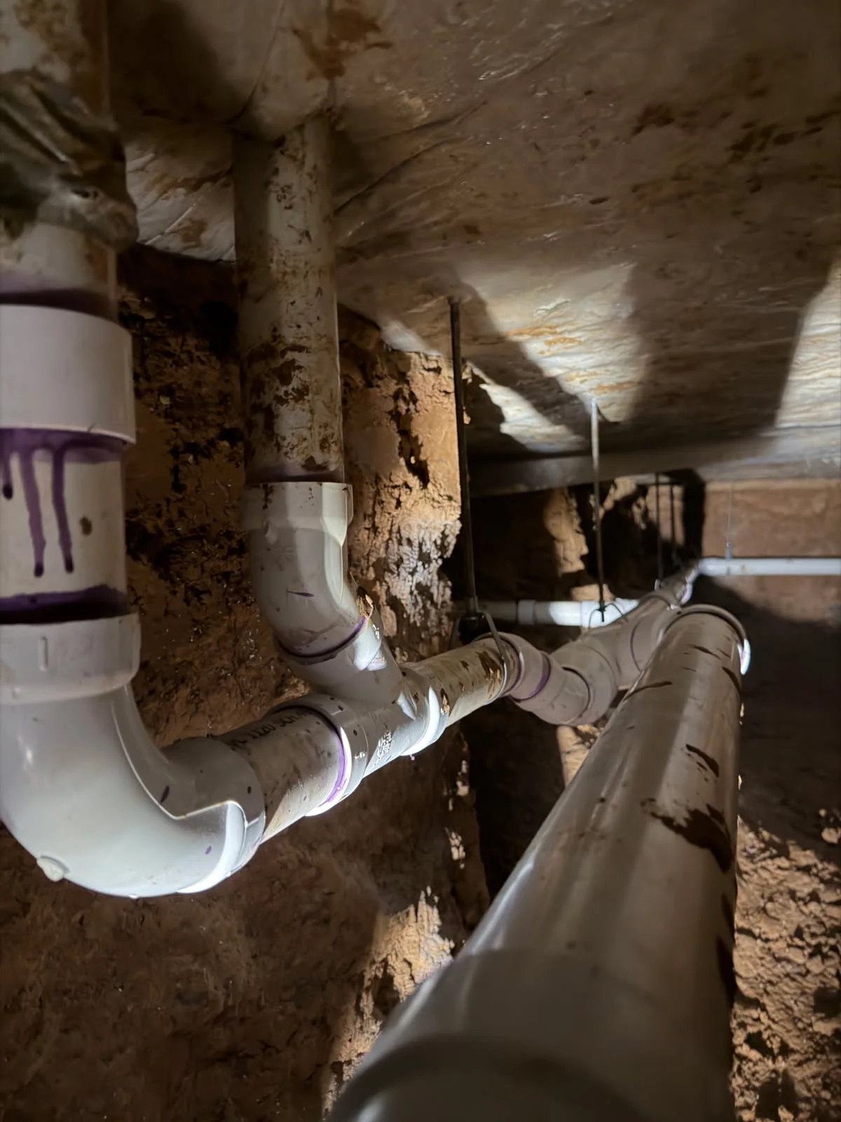 A plumber reviewing sewer camera inspection footage on a monitor beside an open cleanout access point in the yard of a Pasadena residential property. The screen shows the interior of an aging clay sewer pipe with visible root intrusion and cracking along the pipe wall.